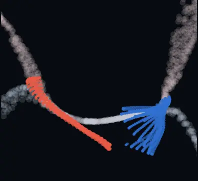 long-axis cut through the valve across the beat